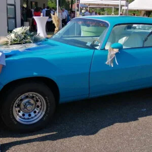 Camaro de collection