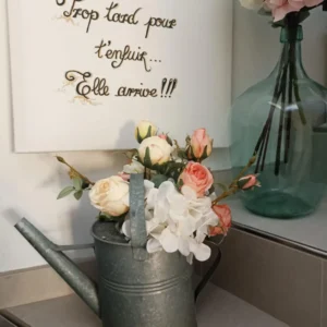 Arrosoir ancien en zinc